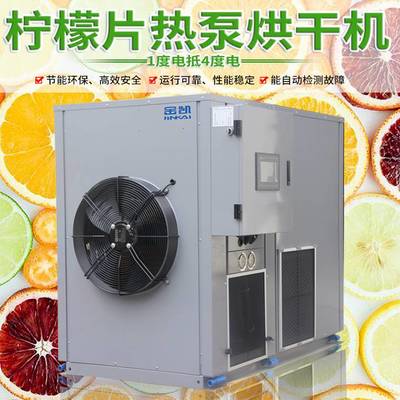 檸檬片烘干機(jī) 藍(lán)莓芒果檳榔水果干烘干設(shè)備 節(jié)能果蔬烘干機(jī)